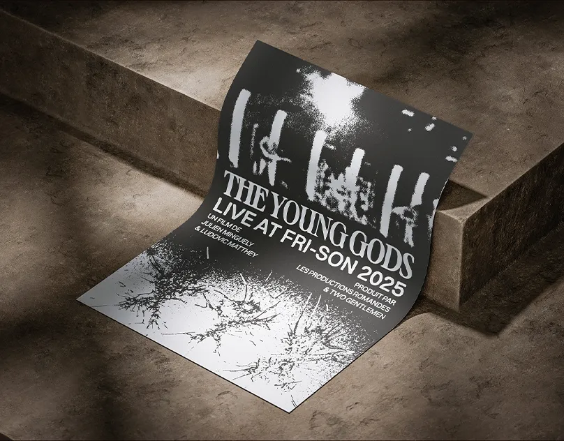 Screenshot of the project The Young Gods.